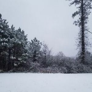 Meet your Posher, Katrina